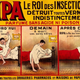 Illustration for article titled A History of Bedbugs Driving Us Insane